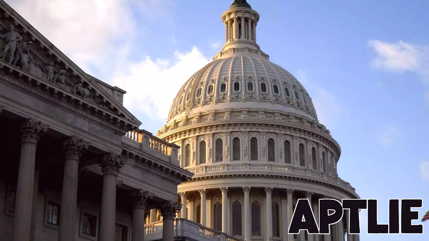 American Real Estate Association Hires Blount Strategic Initiatives