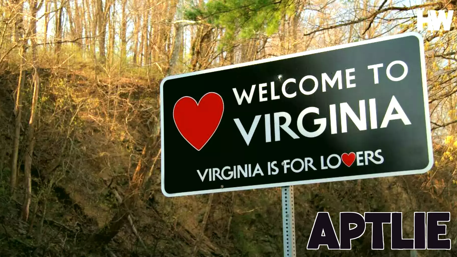 Discover Top Online Real Estate Courses in Virginia for 2025