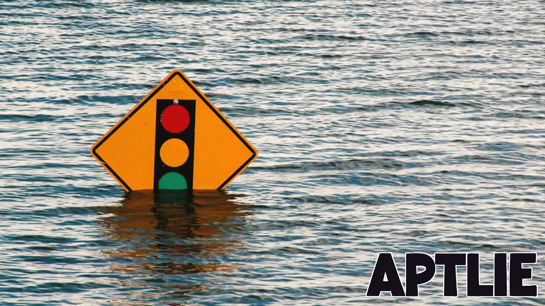 Enhanced Integration of Tax and Flood Services