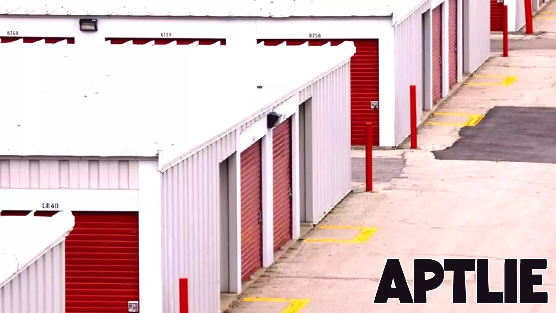 Evaluating Rayonier's Stock: Does It Reflect Timber and Real Estate Potential?