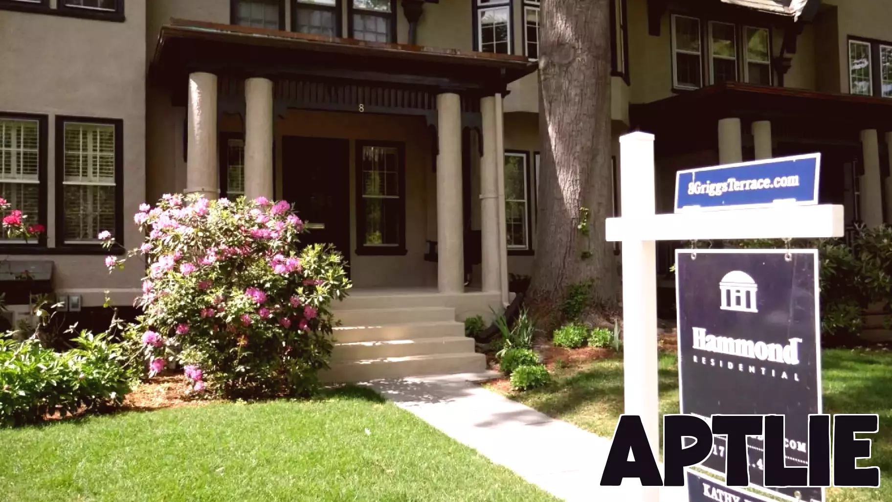 What Sold in the First Half of July?
