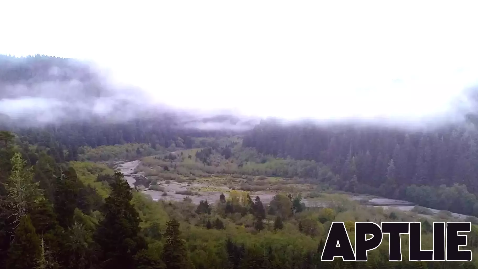 Yurok Tribe gains 125-acre redwood gateway in California land transfer