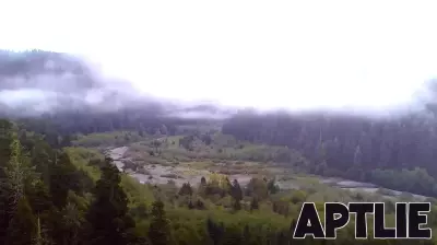 Yurok Tribe gains 125-acre redwood gateway in California land transfer